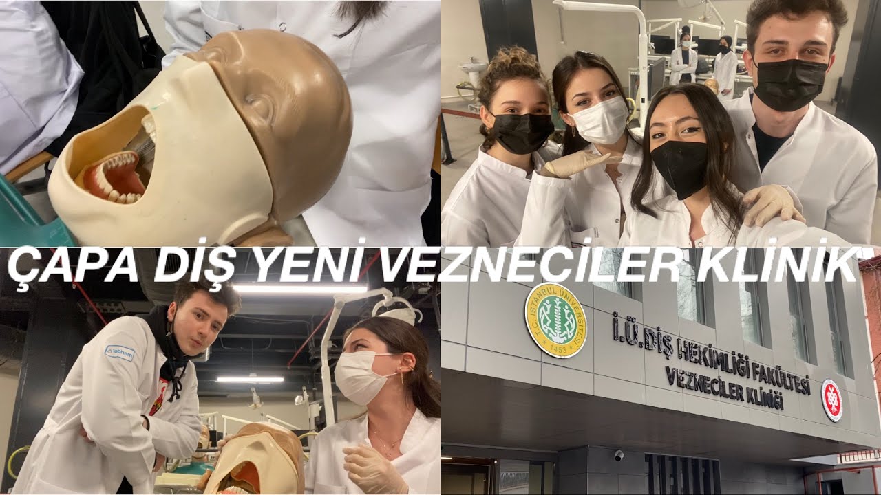Çapa Diş Yeni Bina 🏫 Vezneciler Klinik 🔬 Derslikler 📚