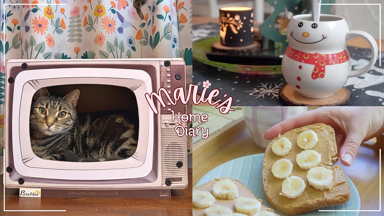 #81 🎄 | Slow December days at home | Cosy Christmas décor, new cat furniture & peaceful moments