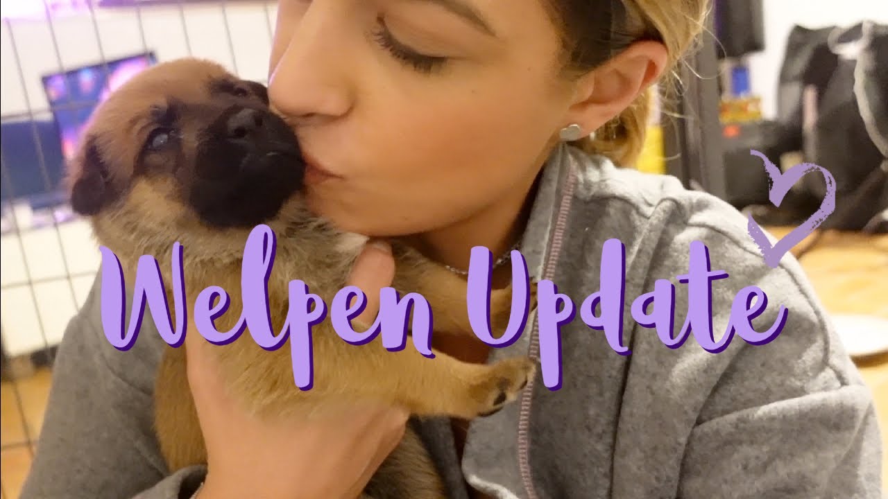 Welpen UPDATE | Vlog 🐶