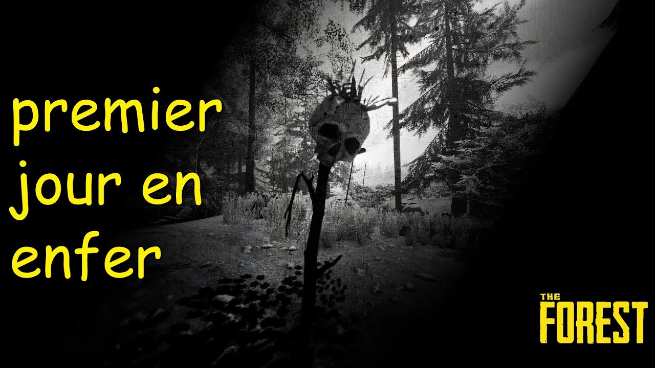 The forest fr #1