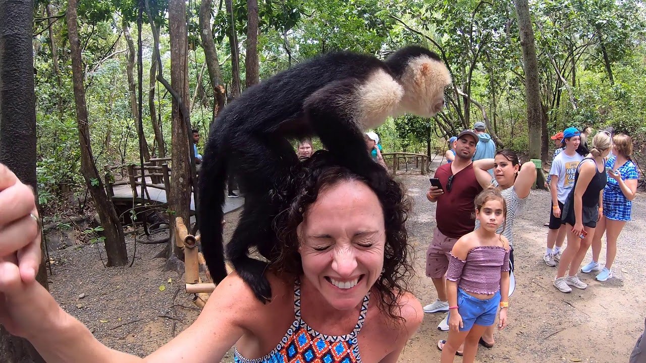 Seeing the Monkeys on Roatan, Honduras