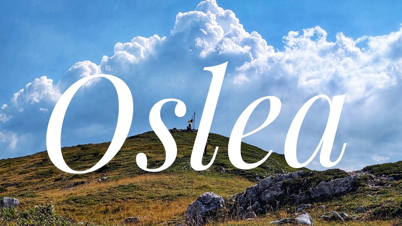 OSLEA - 16.08.2025