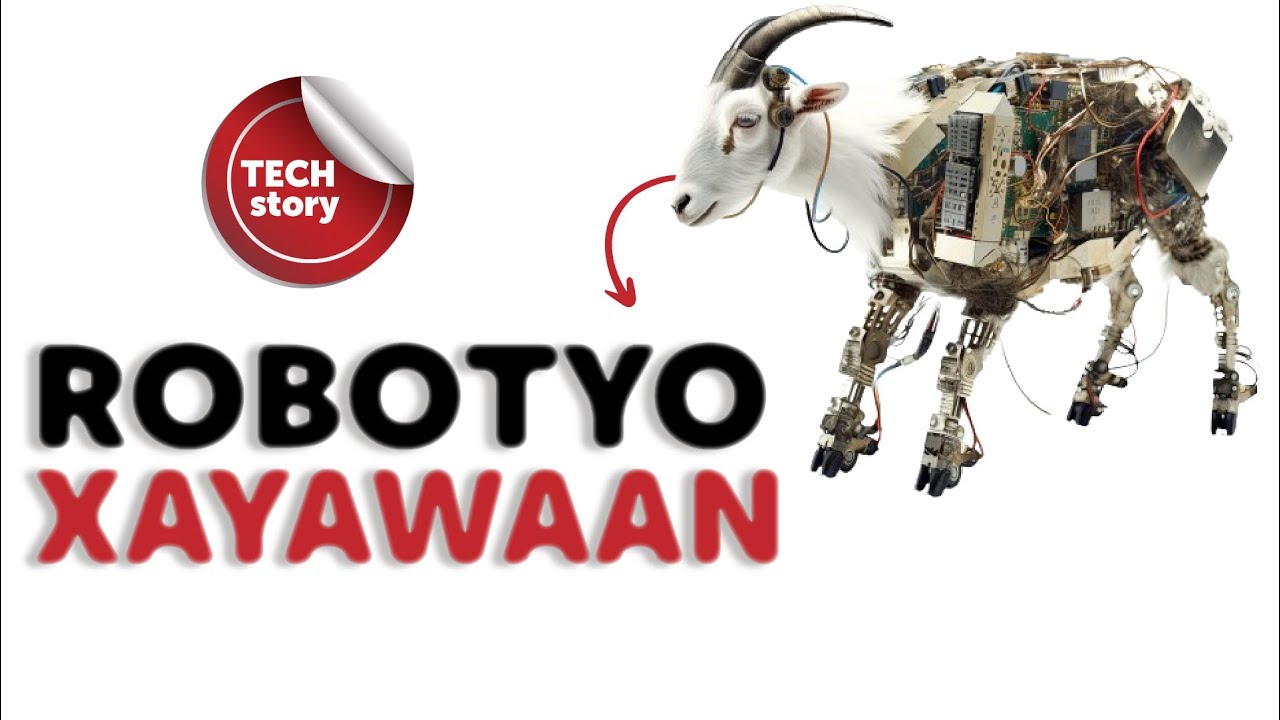 Robot Nolosha Aadanaha Bedalay | Caalamka Tiknolojiyadda