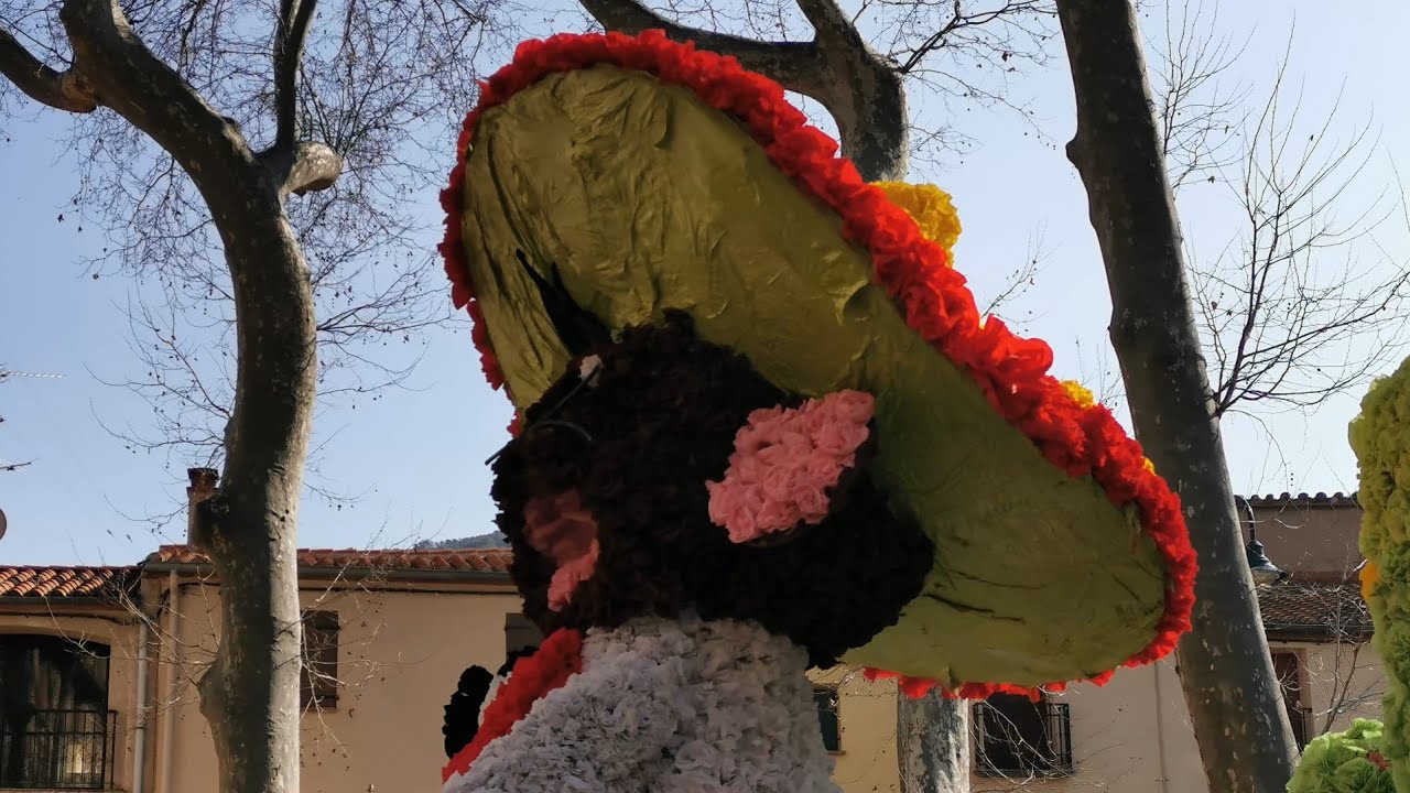 Les Mémoires Carnavalesques - Jean-Louis SURJUS (Carnaval de Céret)