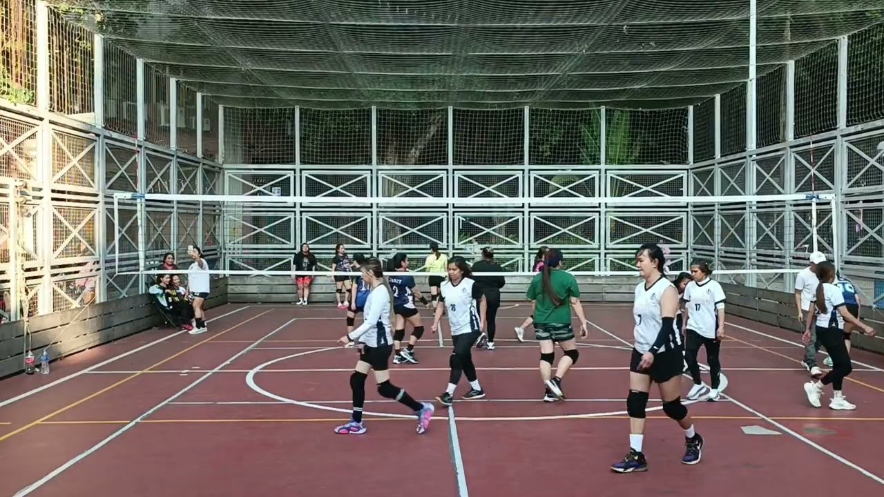 VIPERS 021826