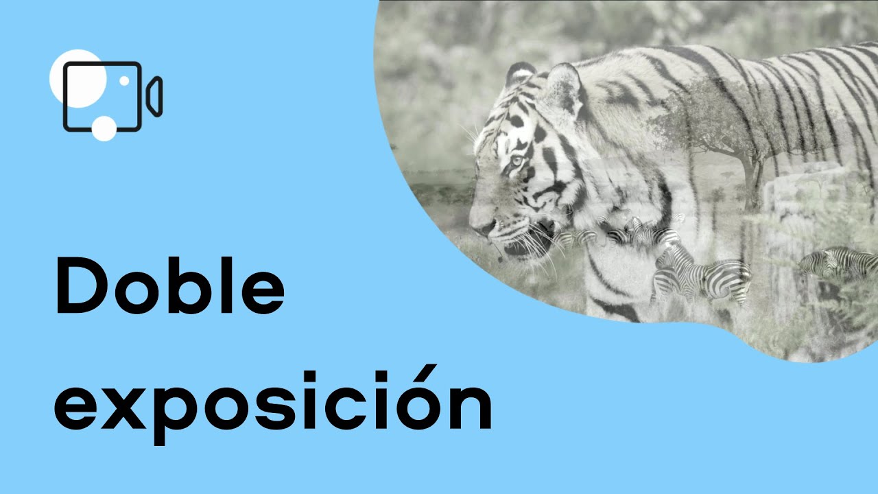 ¿Cómo crear un efecto de DOBLE EXPOSICÍON? | Videoedición (Tutorial 2021)