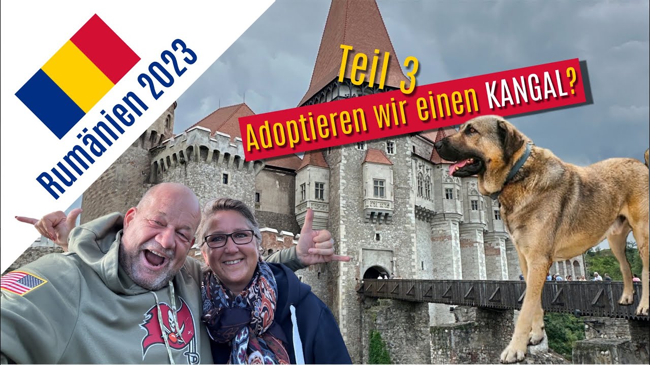#5 Rumänien - Verloren in den Karparten und schockverliebt in einen KANGAL