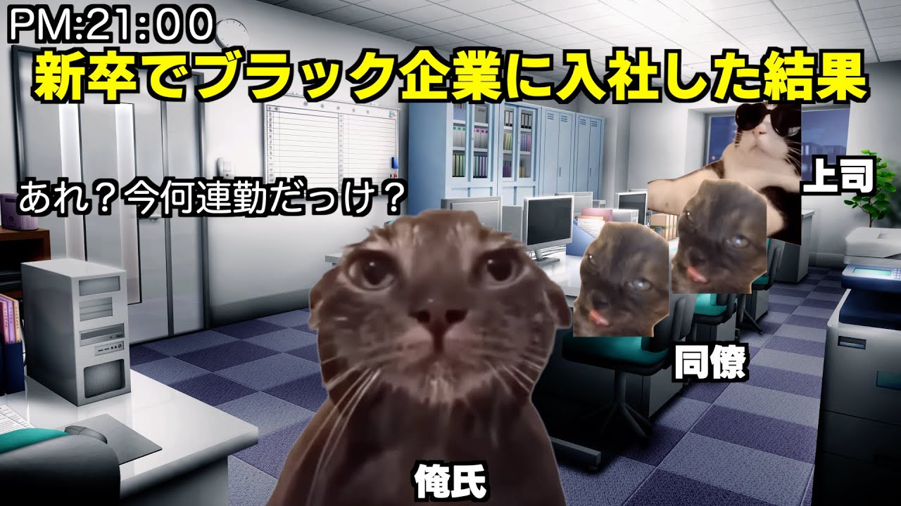 新卒がブラック企業に就職した結果...【猫ミーム】×【体験談】