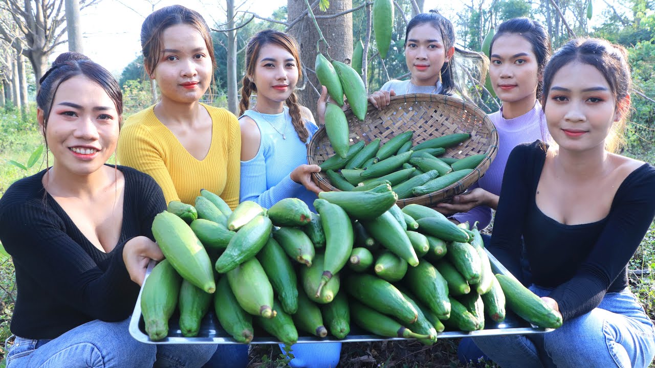Pick Kapok fruit and eat Kapok fruit with Chili salt and Prahok sauce recipe - Eat Kapok fruit