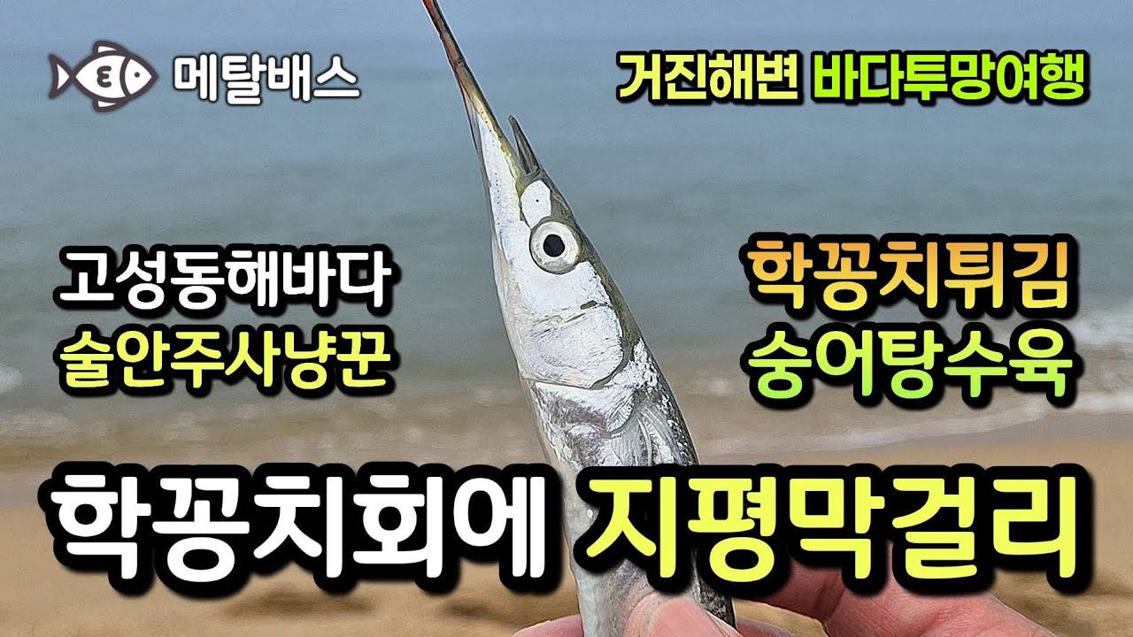 투망으로 술안주잡기 차박캠핑, 고성 동해바다 거진항 거진해변 자산천 바다투망달인, 학꽁치동갈치투망, 숭어전어투망, 숭어탕수육, 학꽁치회튀김, castnet,fishing,pesca