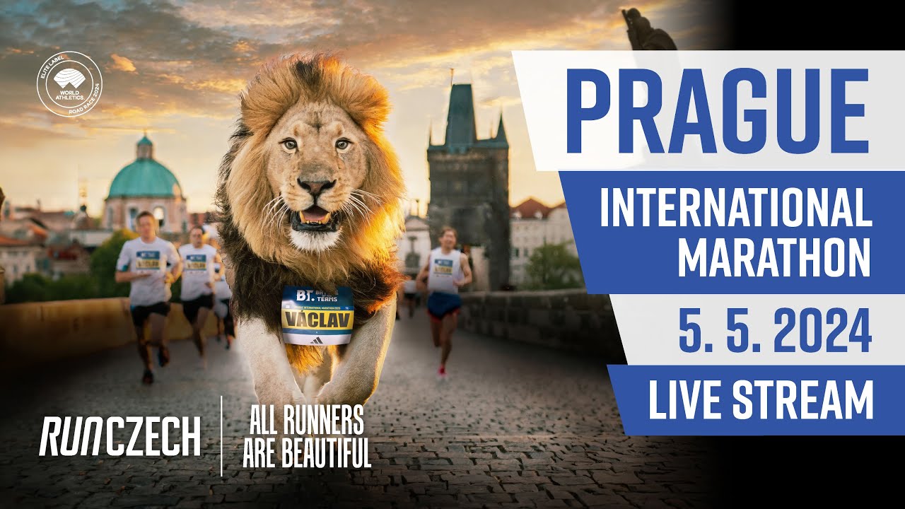 Prague International Marathon 2024