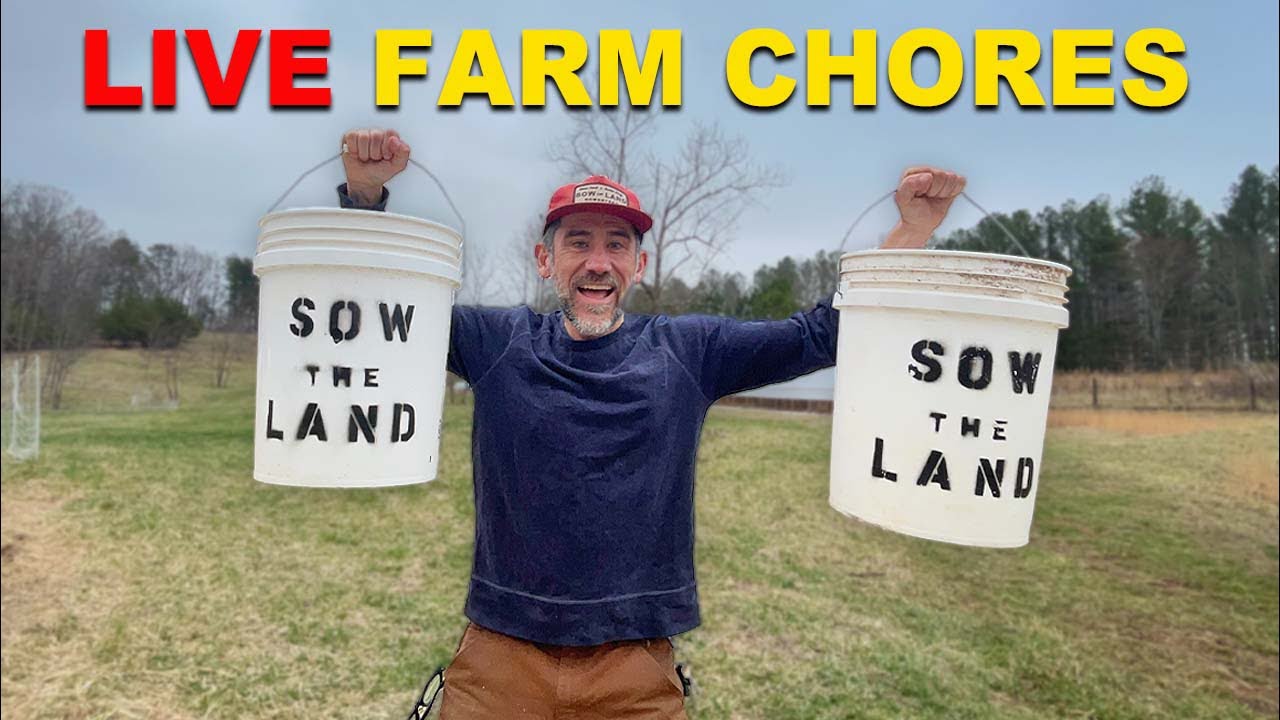 🔴 Sow the Land is live!