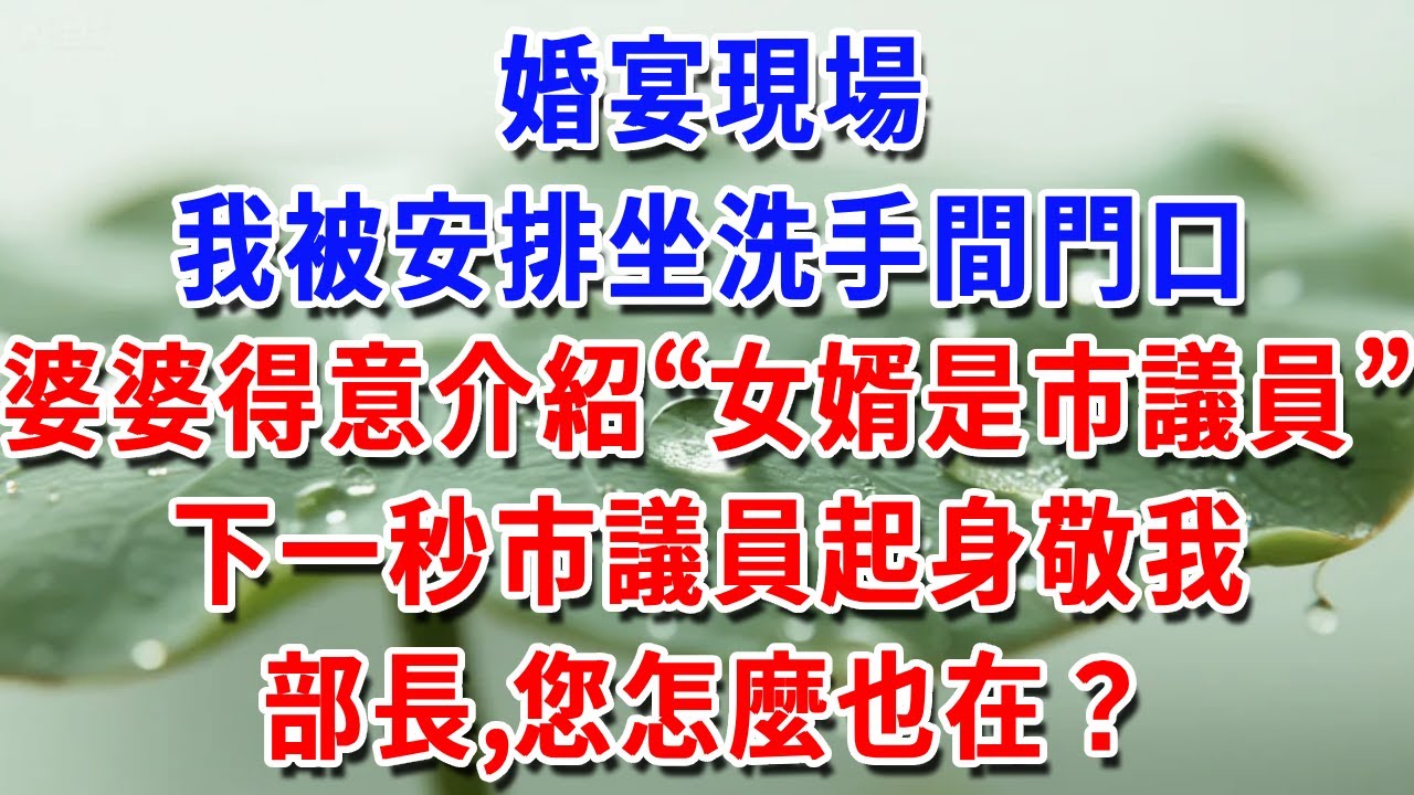 婚宴現場我被安排坐洗手間門口，婆婆得意介紹“女婿是市議員”，下一秒市議員起身敬我：部長，您怎麼也在？#一帆說故事 #為人處世 #生活經驗 #情感 #故事 #彩礼#深夜淺讀