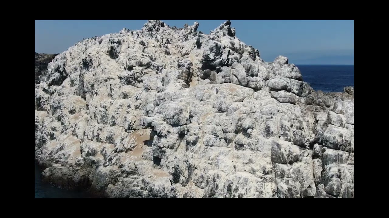  Islote blanco, h&aacute;bitat de gaviotas y otras especies