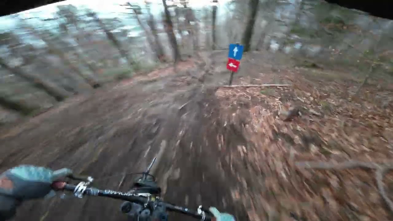DJI Action 2 POV Downhill footage Borderline 2022