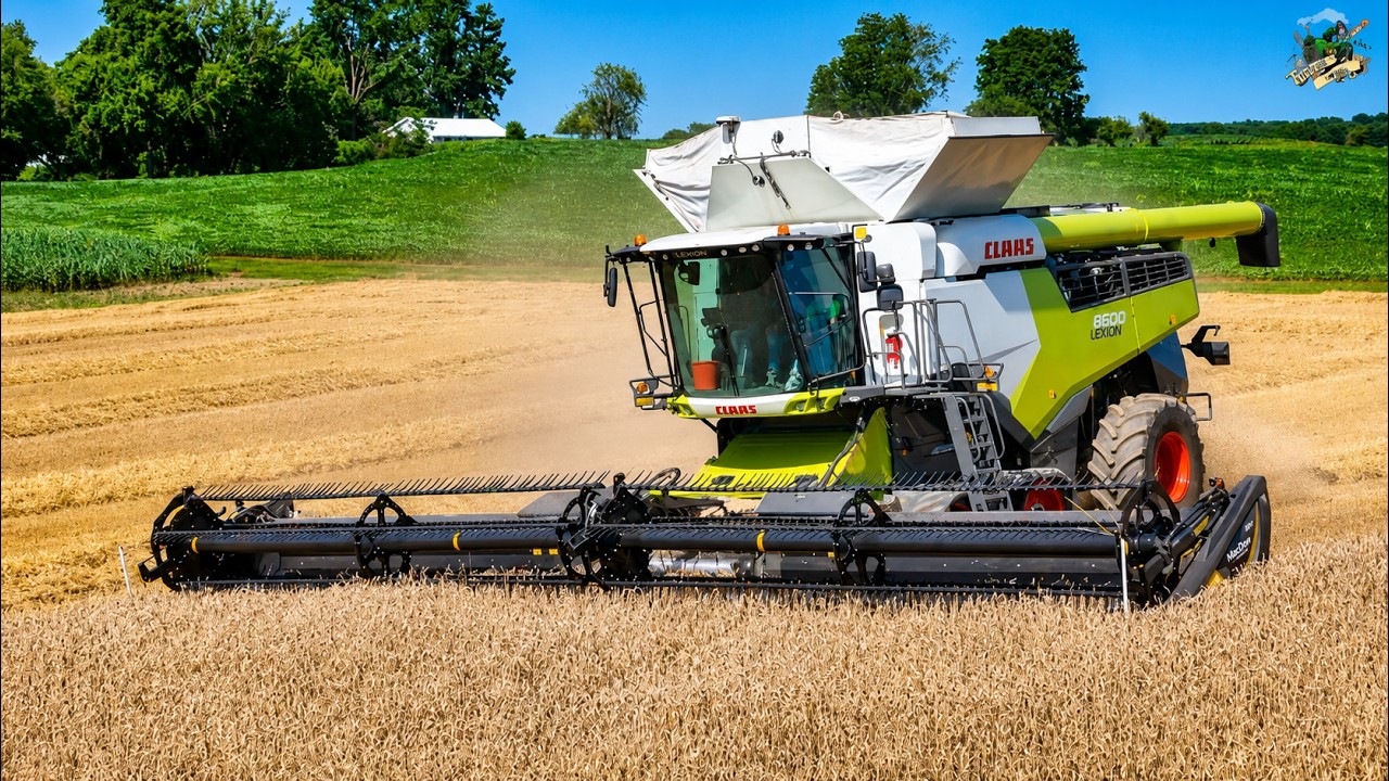 Уборка пшеницы и посев сои по технологии двойного урожая | CLAAS Lexion 8600 и Fendt Momentum