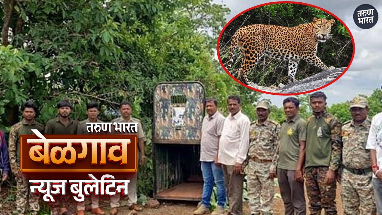 बेळगाव न्यूज बुलेटिन | Belgaum News Bulletin | 23-05-2026