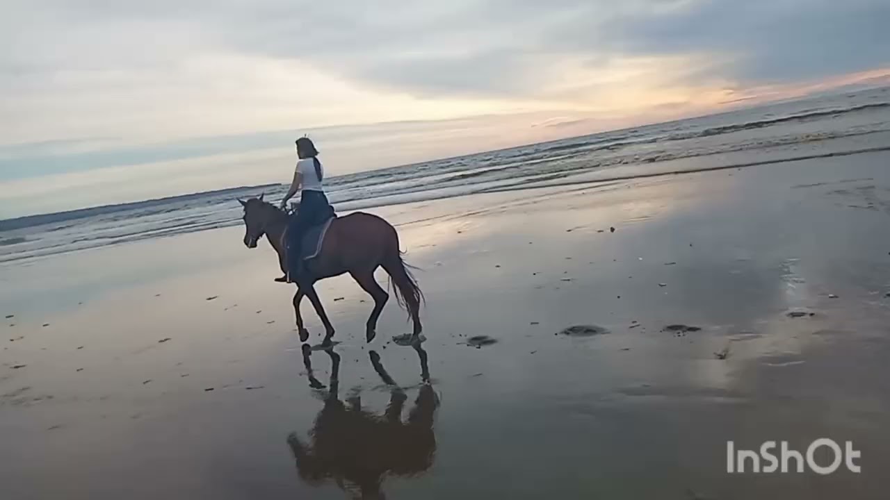 Rina gallop at Seminyak beach sunset ride