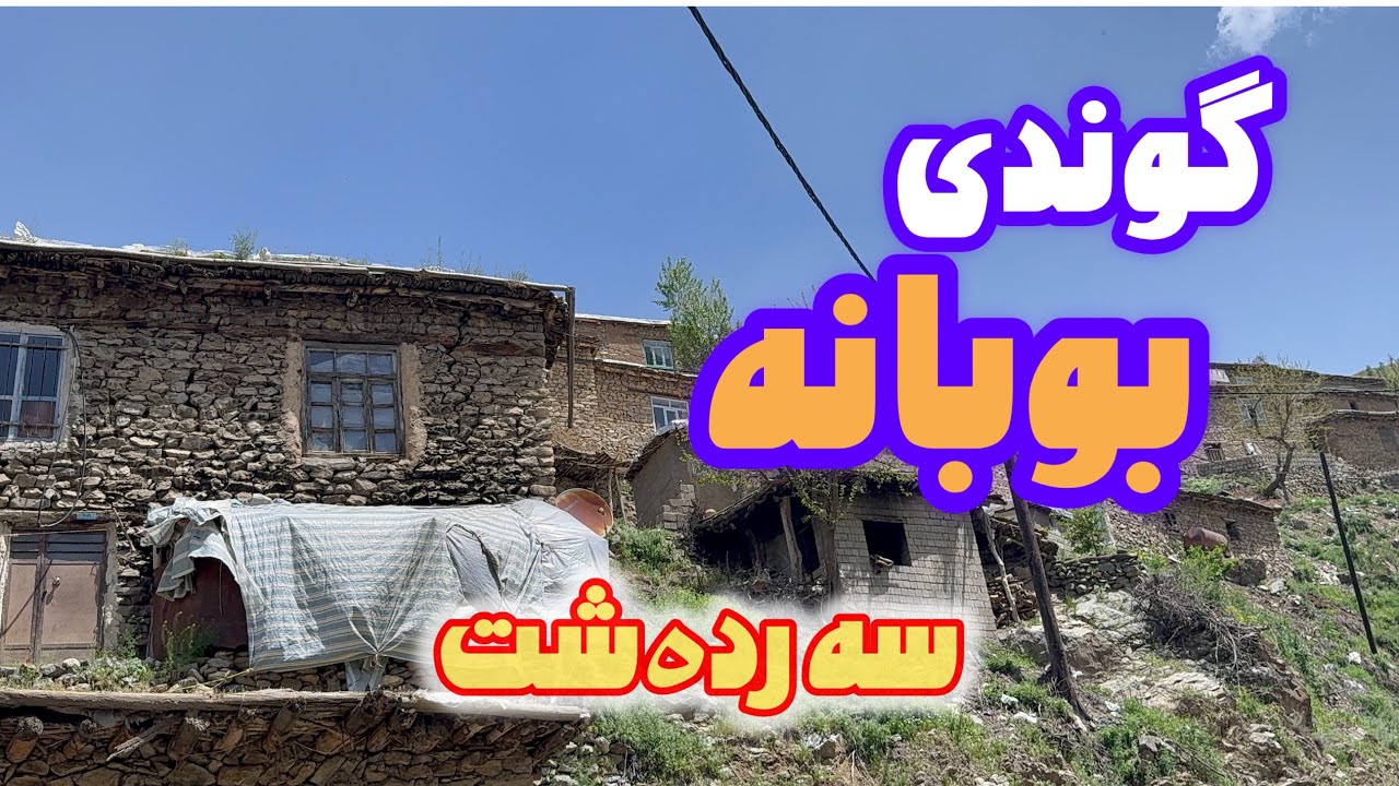 گوندە جوانەکەی بوبانەی سەردەشت. @sardesht68 