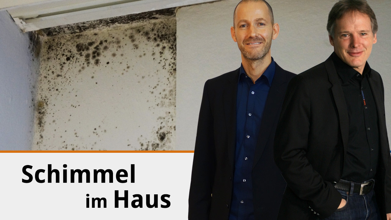 Schimmel im Haus
