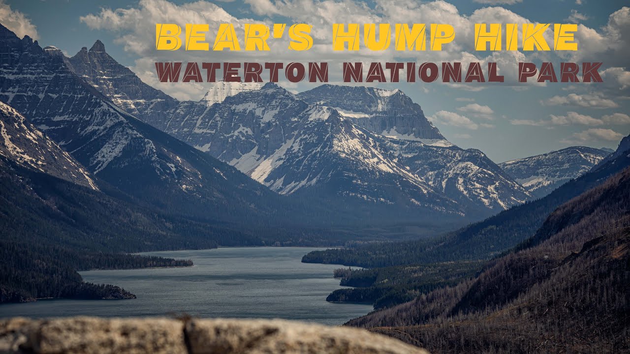 Bear's Hump Hike  Waterton National Park 4K