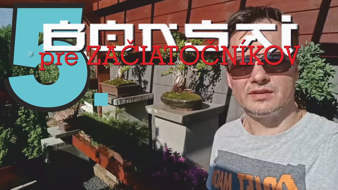 BONSAI pre začiatočníkov, blog5.