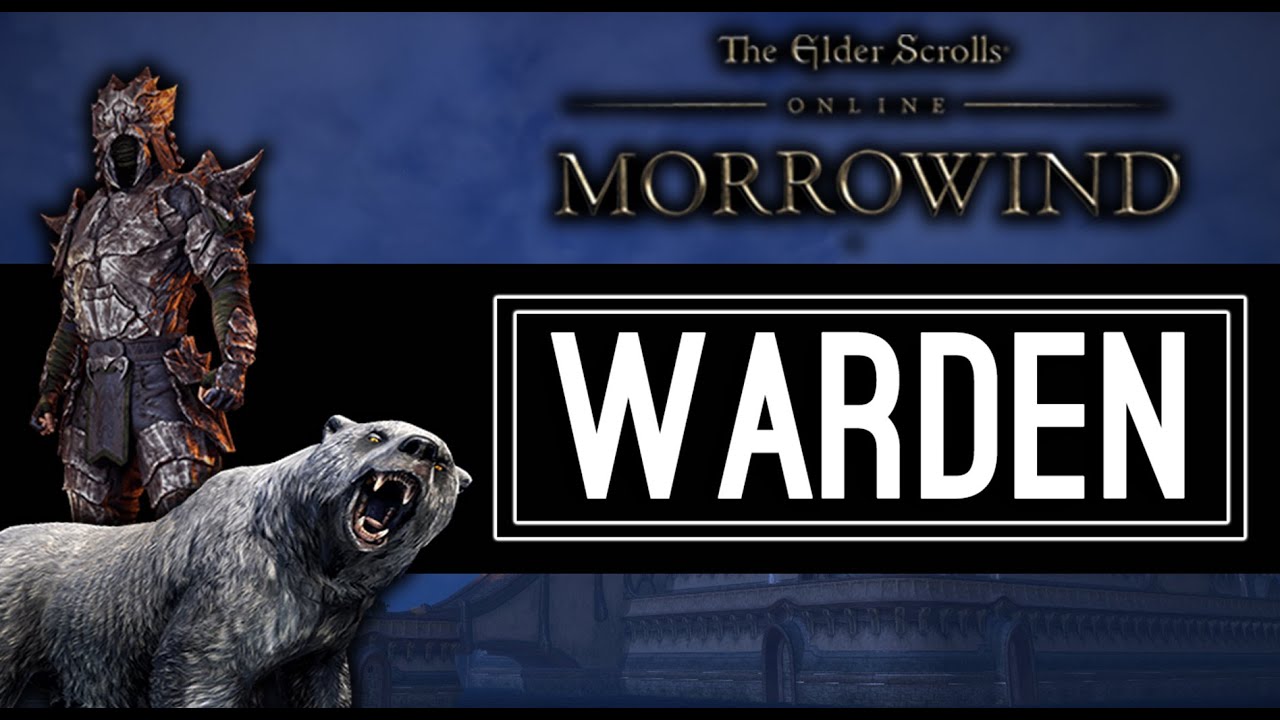 Демонстрация класса «Страж» — Elder Scrolls Online ESO