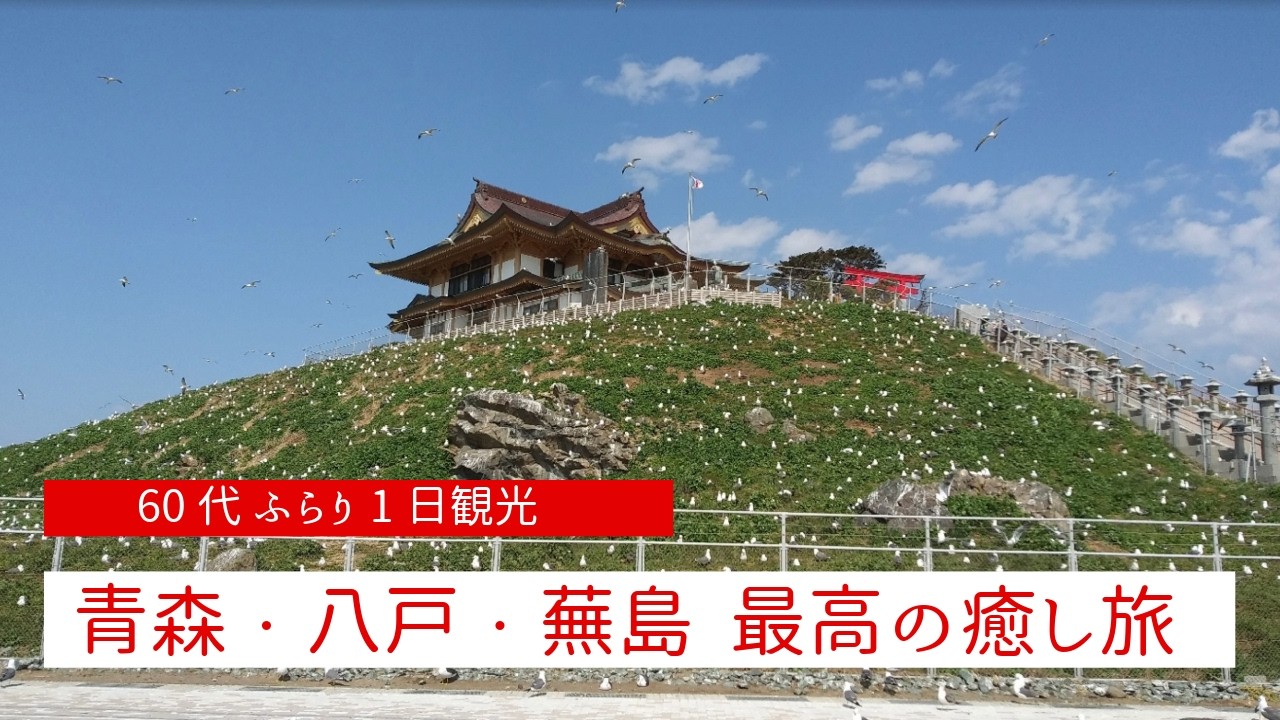 【最高の癒し】おすすめ1日八戸観光#蕪島神社