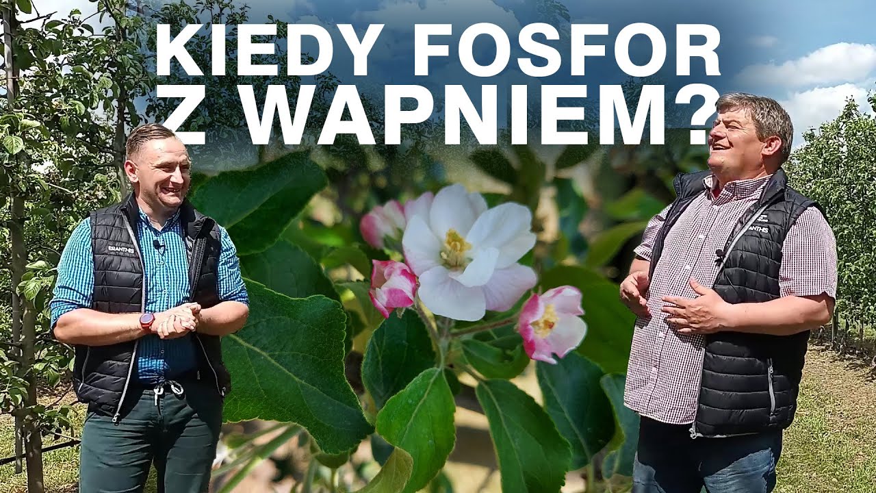 Kiedy fosfor z wapniem? - Zbyszek Marek, Darek Ziarko zapraszają