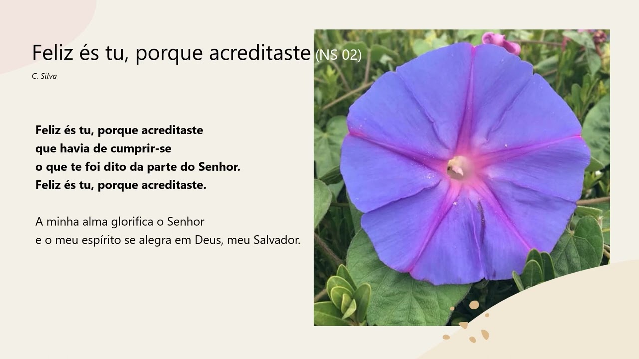 Feliz és tu porque acreditaste (NS 02)