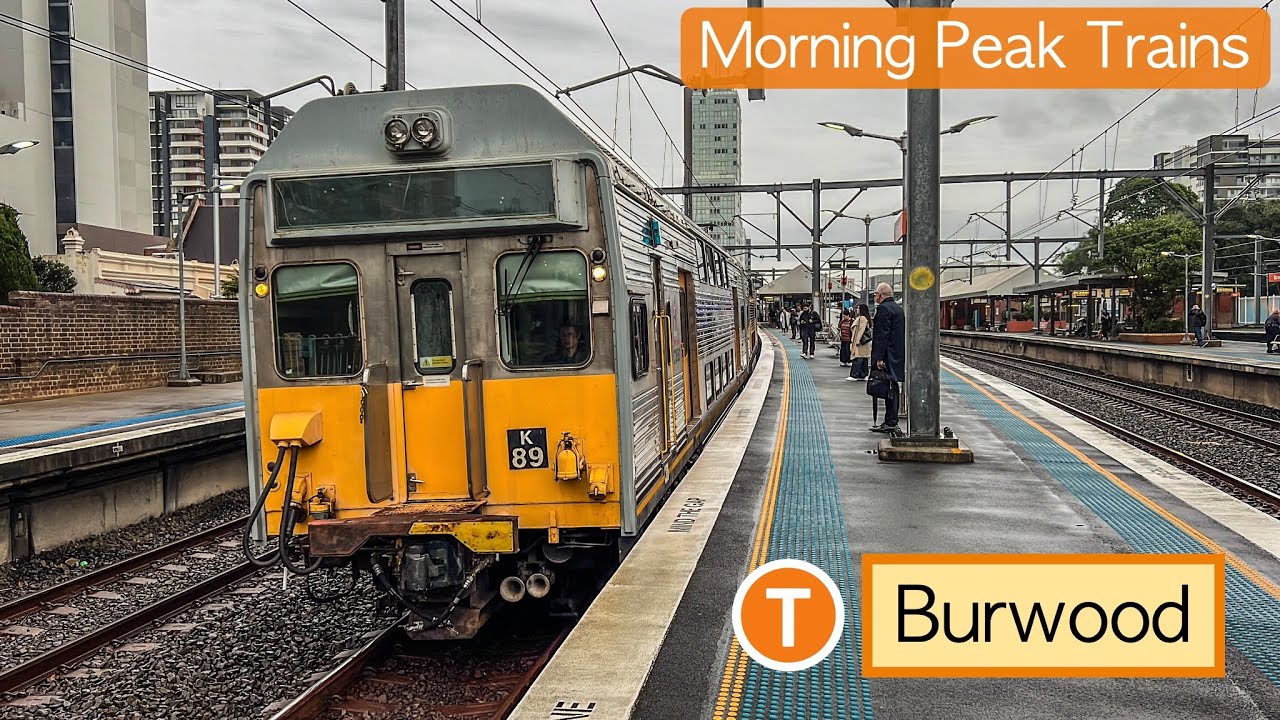 Transport for Sydney Vlog 881: Burwood Station - Morning Peak Trains