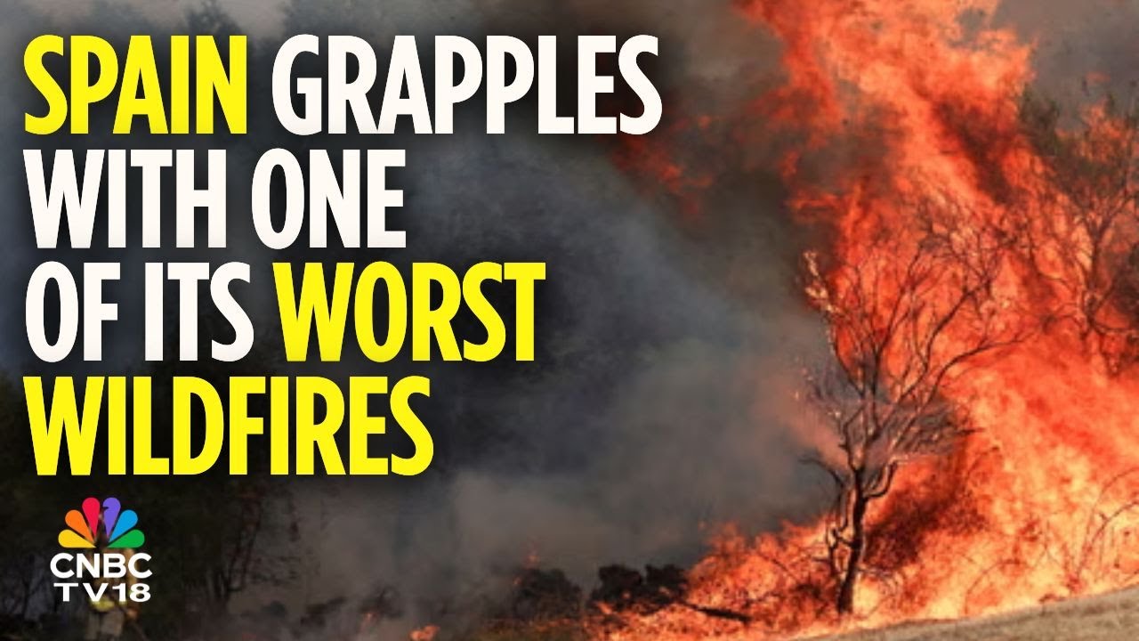Europe Heatwave Update | Spain Battles Major Wildfires | Spain News | N18G