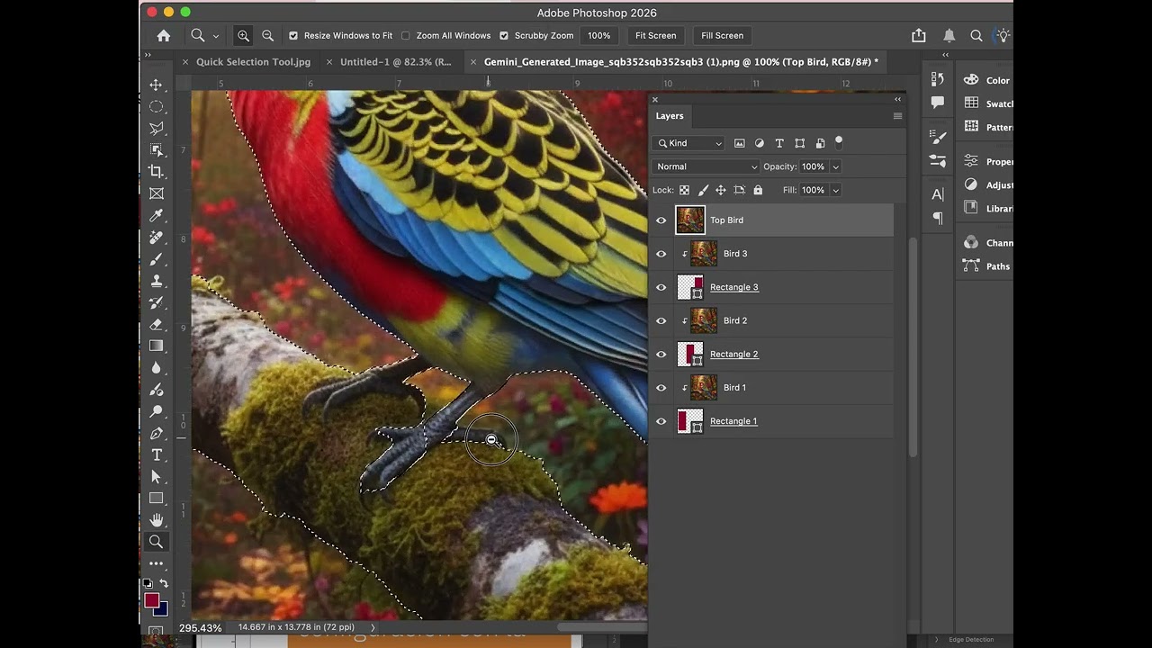 Making the bird stand out