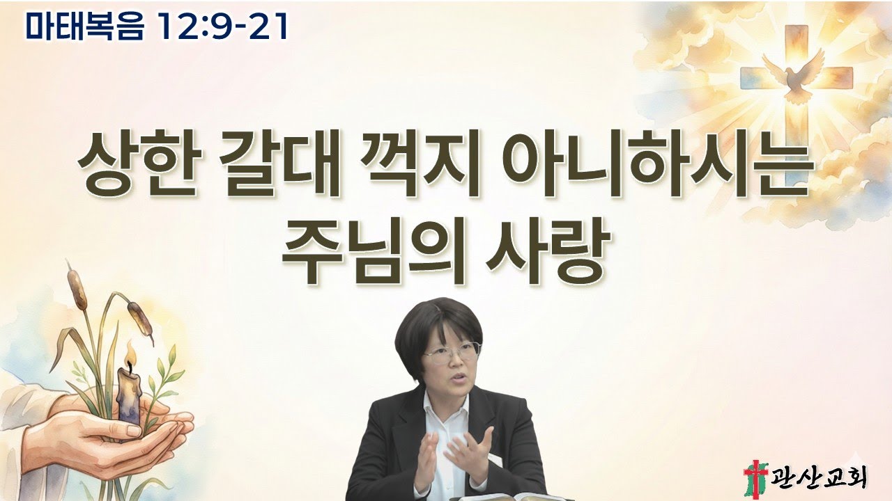 2026. 01. 11. 주님의 수세주일 오후 찬양 예배 / 마태복음 12:9-21 / 상한 갈대 꺽지 아니하시는 주님의 사랑 / 서나리 전도사