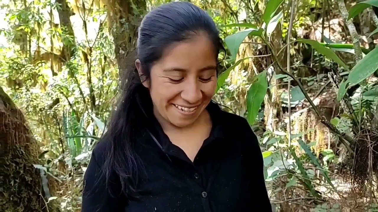 Así adornamos muestro árbol para está navidad en familia con adornos naturales del bosque 🎄🎄