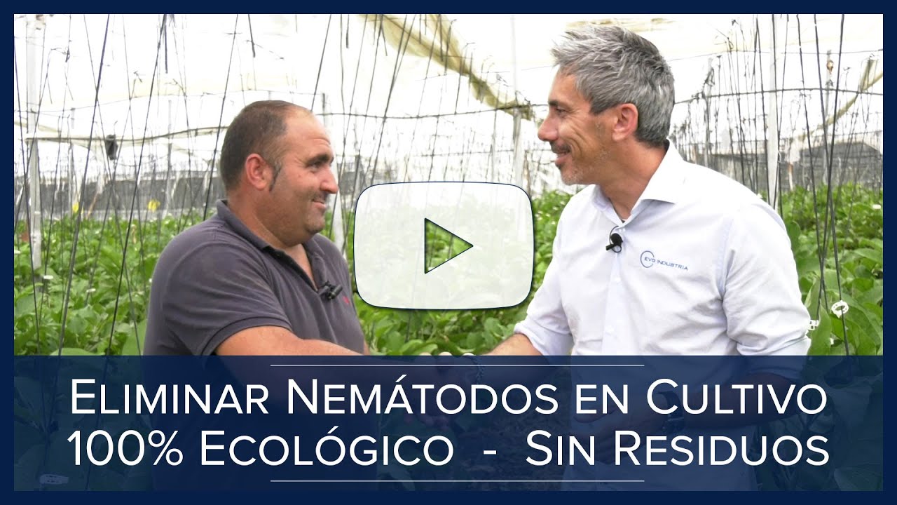 🌱 Cómo Eliminar los NEMÁTODOS 🦠 AGRICULTURA ECOLÓGICA 🌱 Ozono
