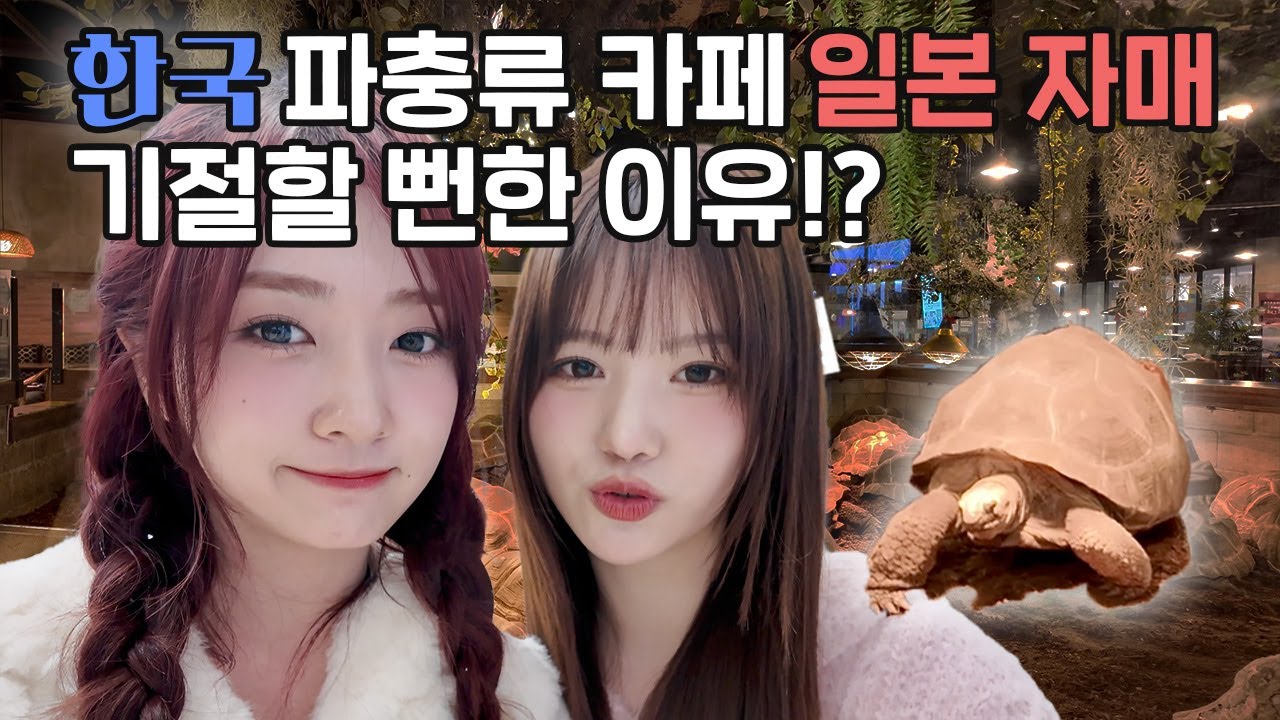 비명만 100번 지른 파충류 카페🐍 일본 자매는 끝까지 버틸 수 있을까? | 파충류카페 | 미유 | 세리나 | 일본자매