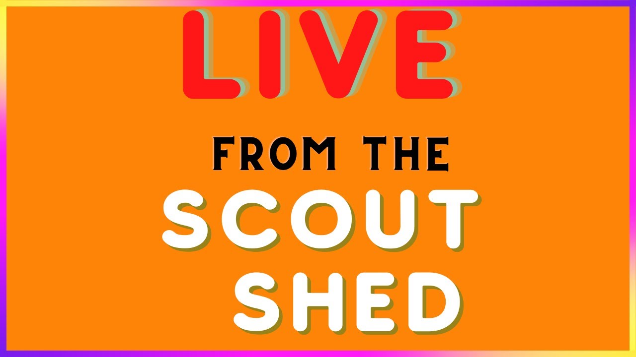 Should we do weekly Scout leader live streams?