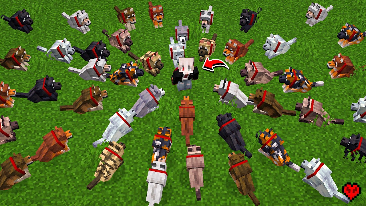Como encontrar todas as variantes dos lobos no minecraft - Tutorial no haredcore