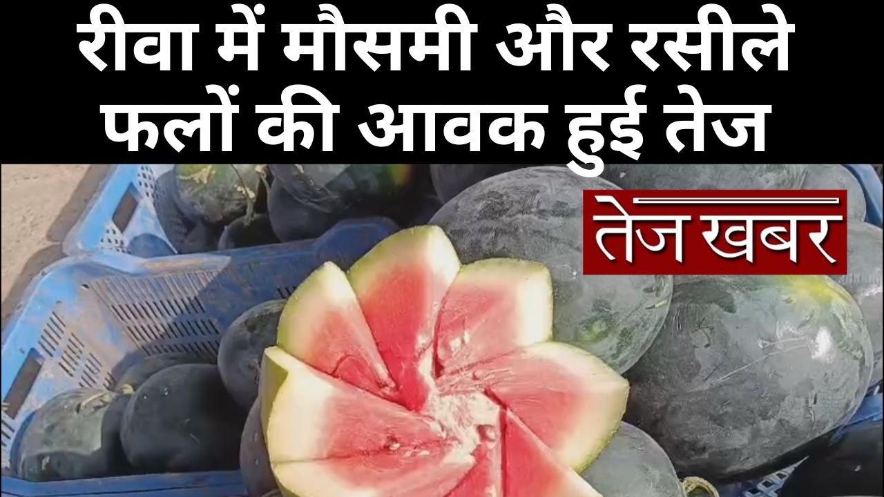 रीवा में मौसमी और रसीले फलों की आवक हुई तेज, गर्मी के साथ बढ़ी फलों की डिमांड...,