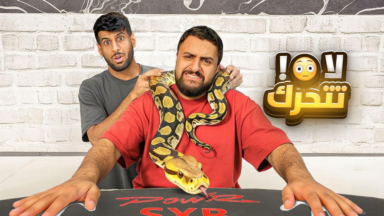 قلدت اشهر سلاسل اعضاء باور !!