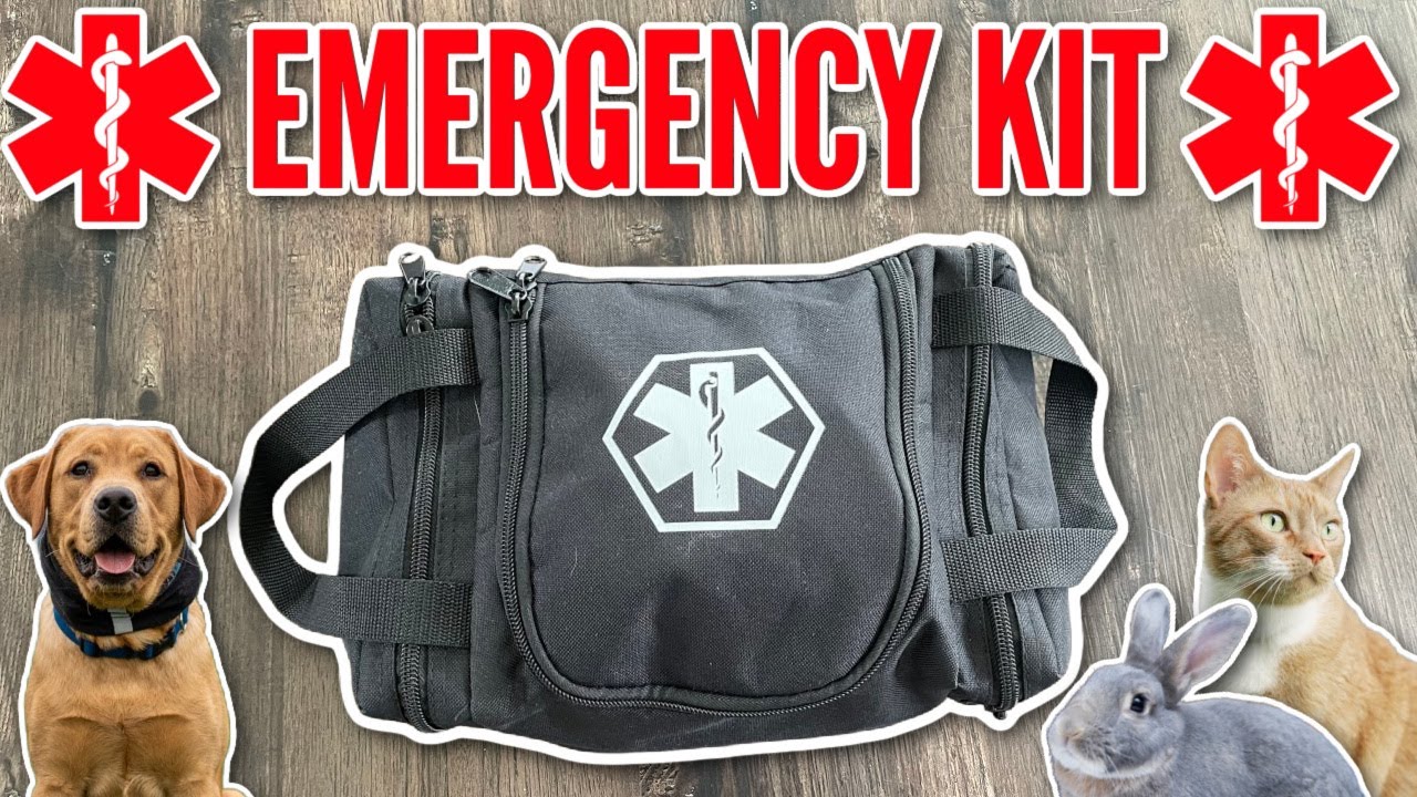My Pet Emergency Kit! Everything you need for Rabbit, Cat, and Dog First Aid