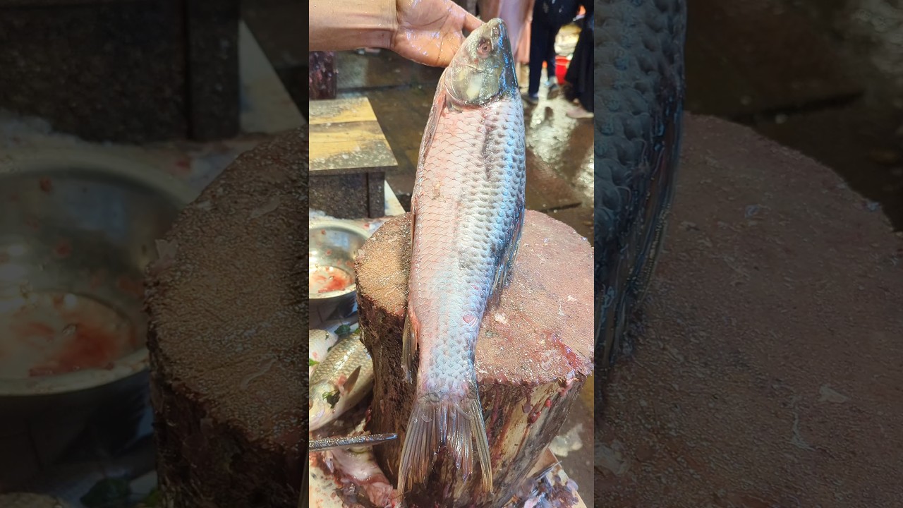Amazing Big Rohu Fish Cutting Skills In Fish Market Bangladesh