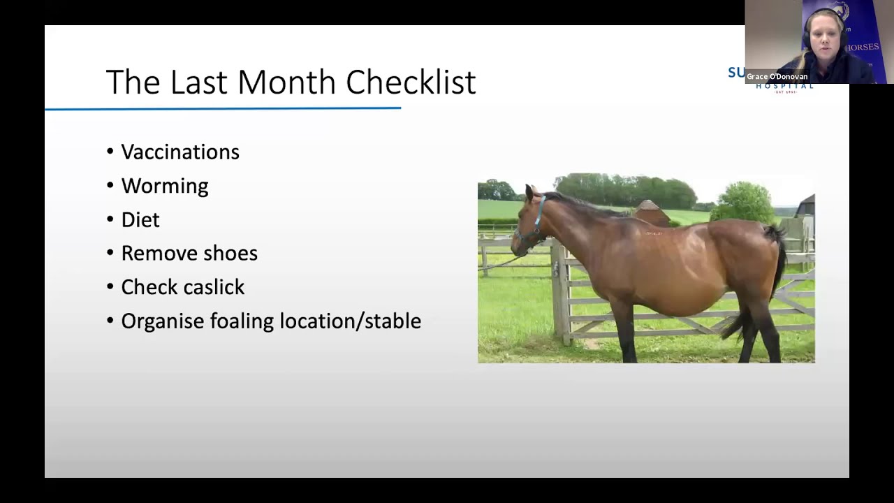 Foaling the Mare Webinar - March 2021 Part 1
