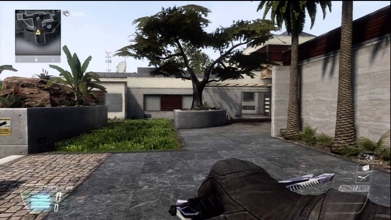 BO2: Raid Map Strategy