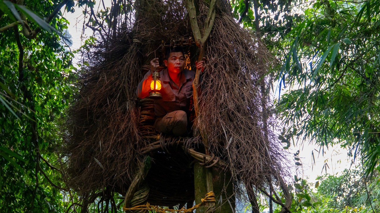 I Built a Giant Bird Nest Shelter High in the Canopy | Solo Bushcraft