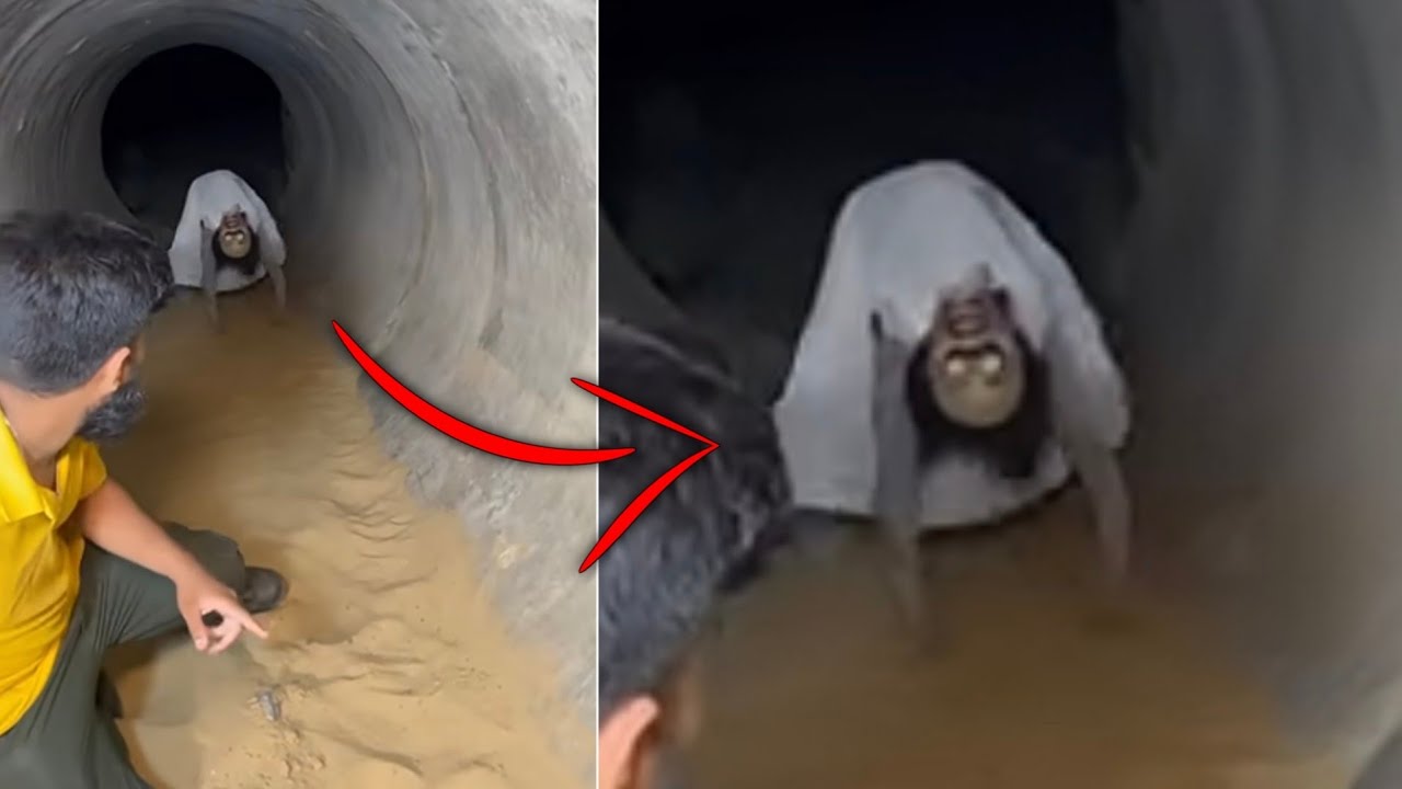 10 Scary Videos and Real Ghost Sightings Caught on Camera That Are Too Real