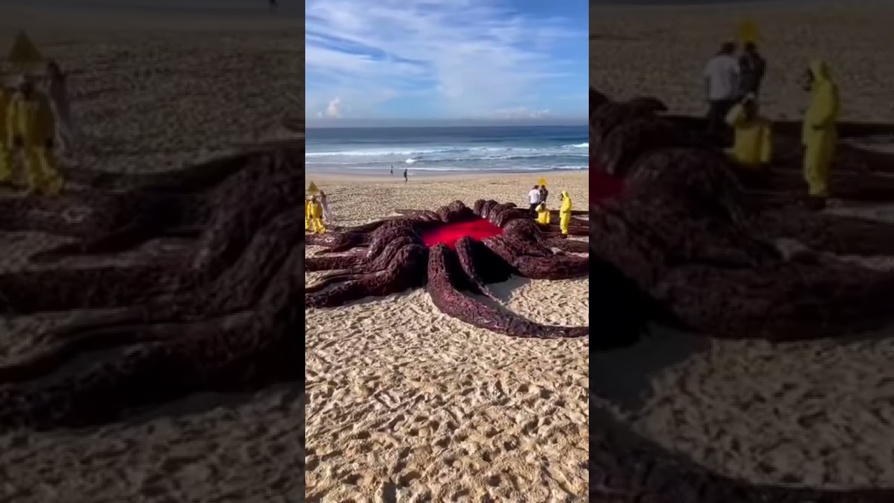 Gateway to the ‘Upside Down’ opens on Bondi Beach for Stranger Things 4 | 
