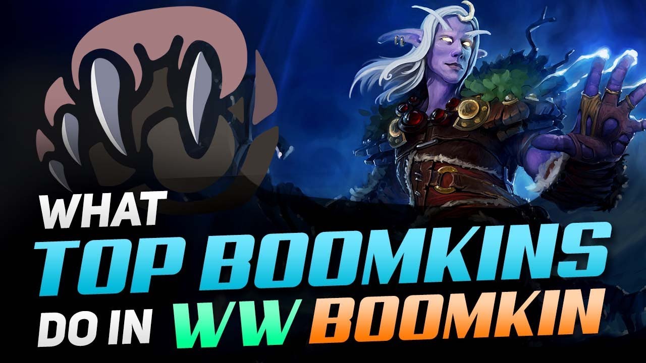 What Top Boomkins Do In WW Boomkin | WoW BfA PvP Guide