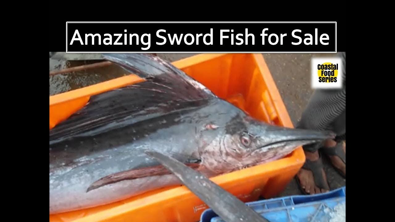 Fish market in Goa - Fresh sea fish and river fish market